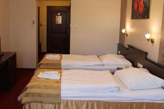 Отель Hotel Tadeusz Uszew Двухместный номер с 1 кроватью или 2 отдельными кроватями-2